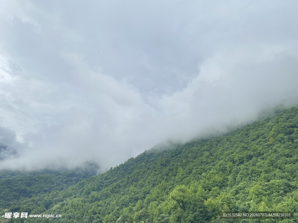 云雾缭绕的翠绿山峦