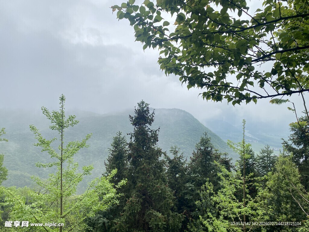 山林绿意 云雾缭绕景致