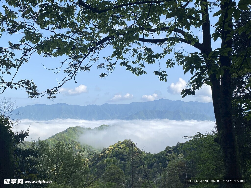 山林云海间的清新景致