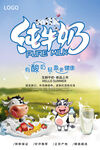牛奶海报