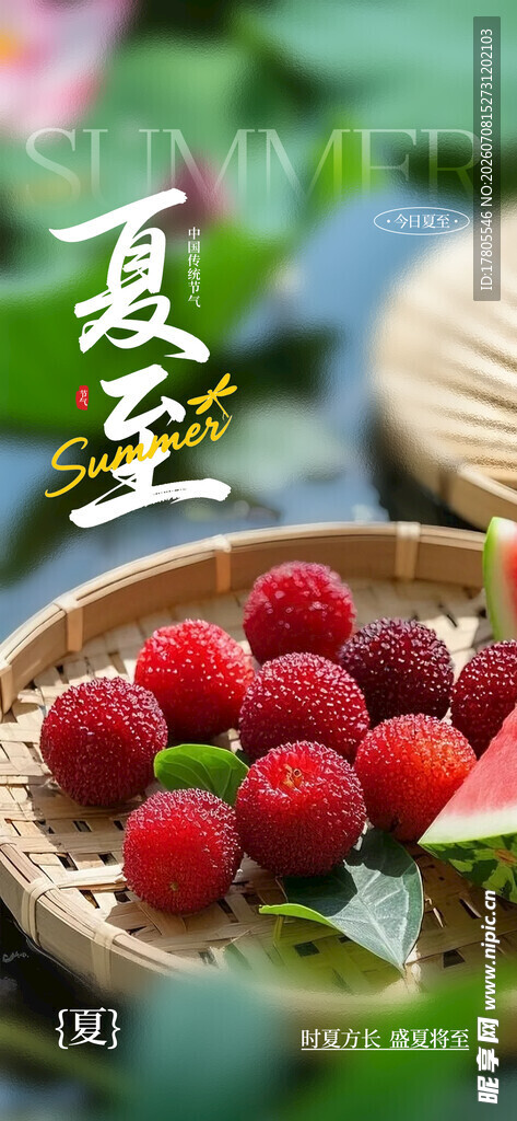 夏至时节的新鲜杨梅