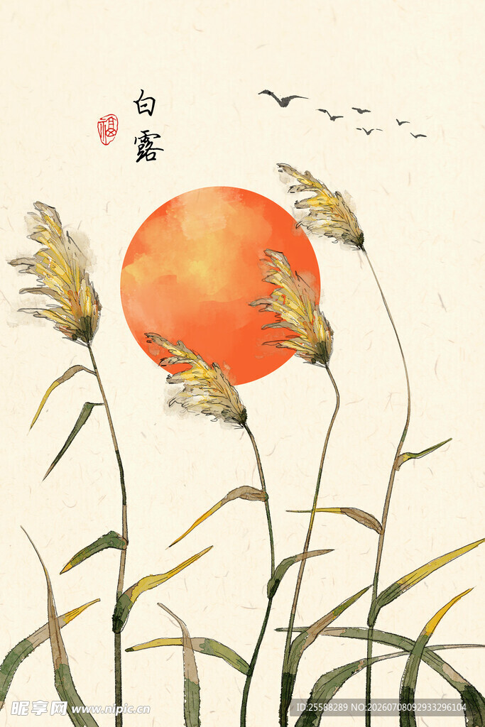 秋日芦苇映红日