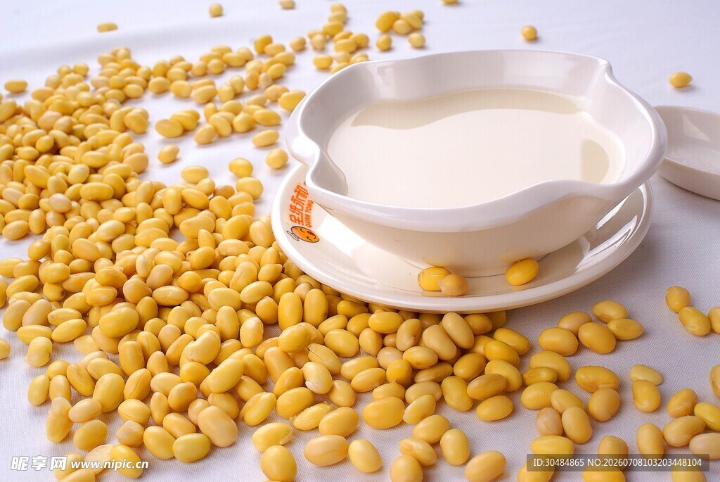 黄豆与豆浆的温馨画面