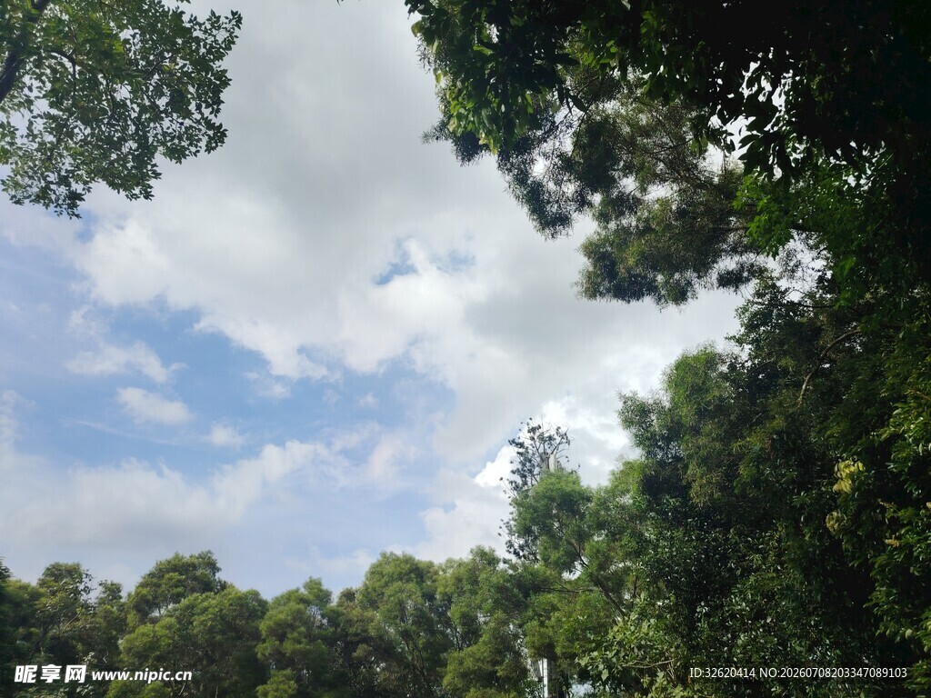 林间天空