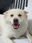 土松 微笑