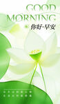 清新荷花早安问候图