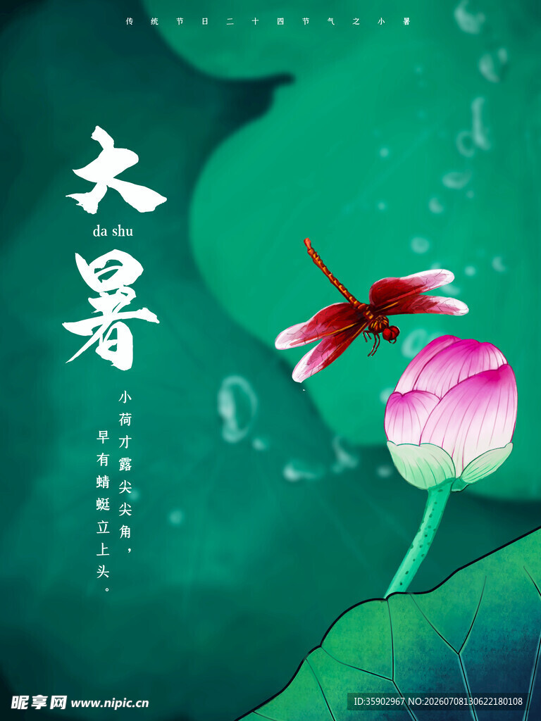 夏日荷花与蜻蜓之景