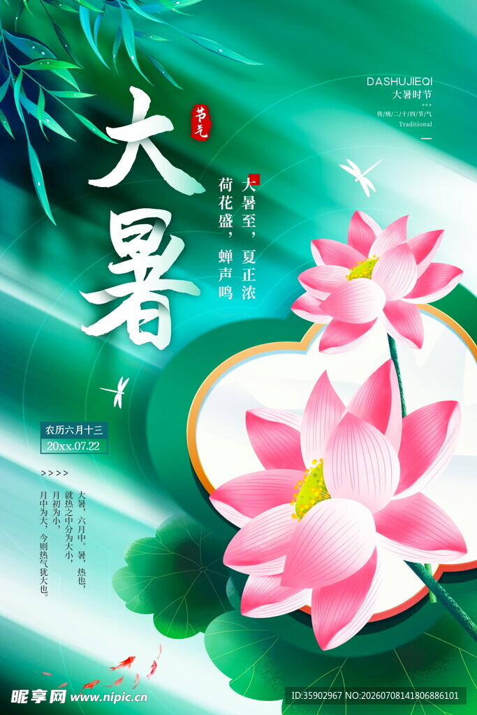 大暑时节绽放的娇艳荷花