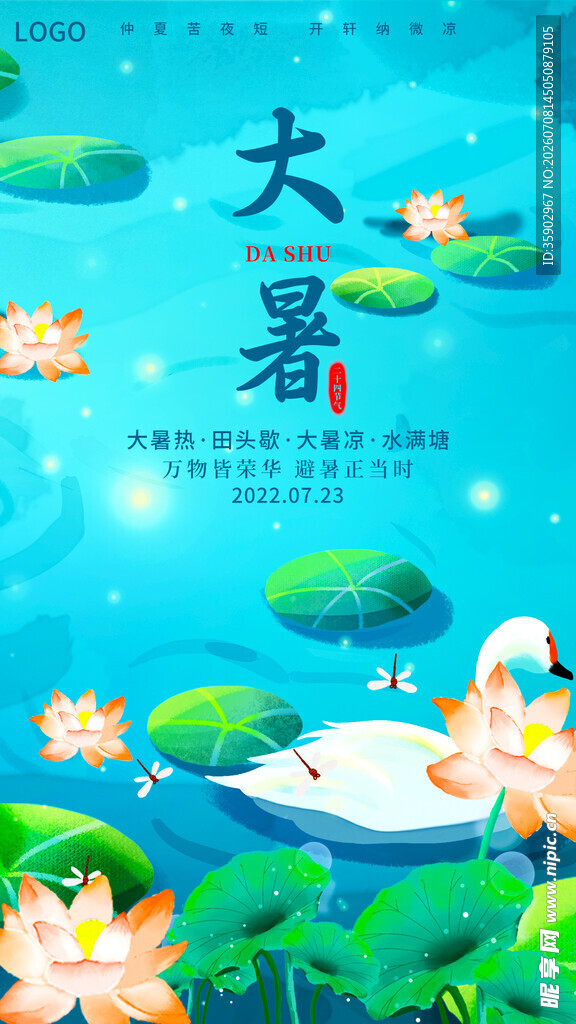 大暑时节荷塘美景