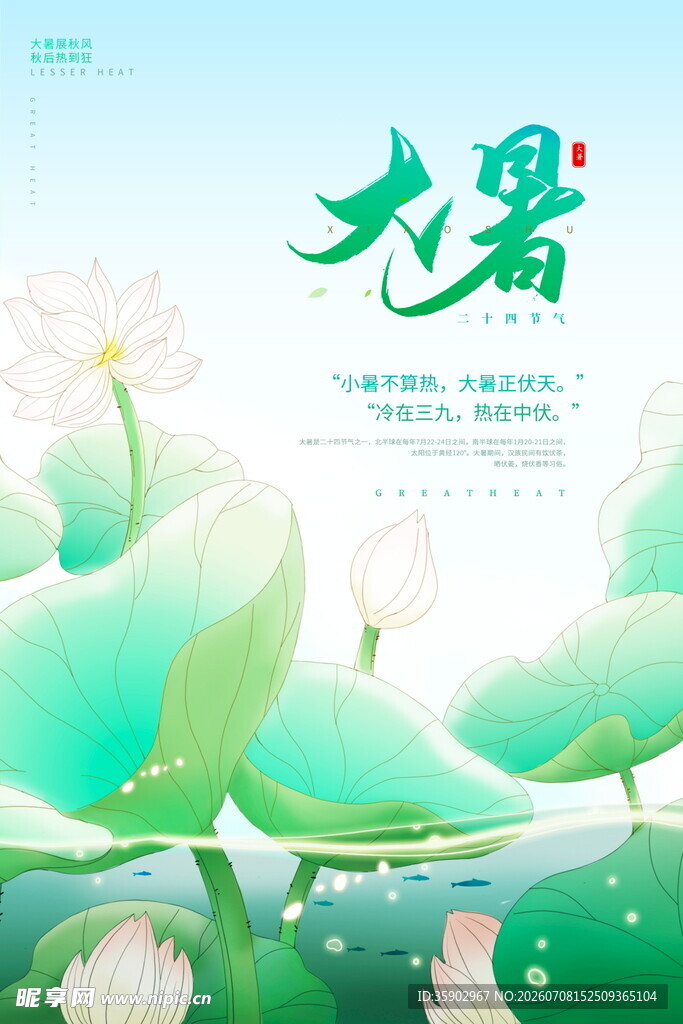 大暑时节清新荷花背景图