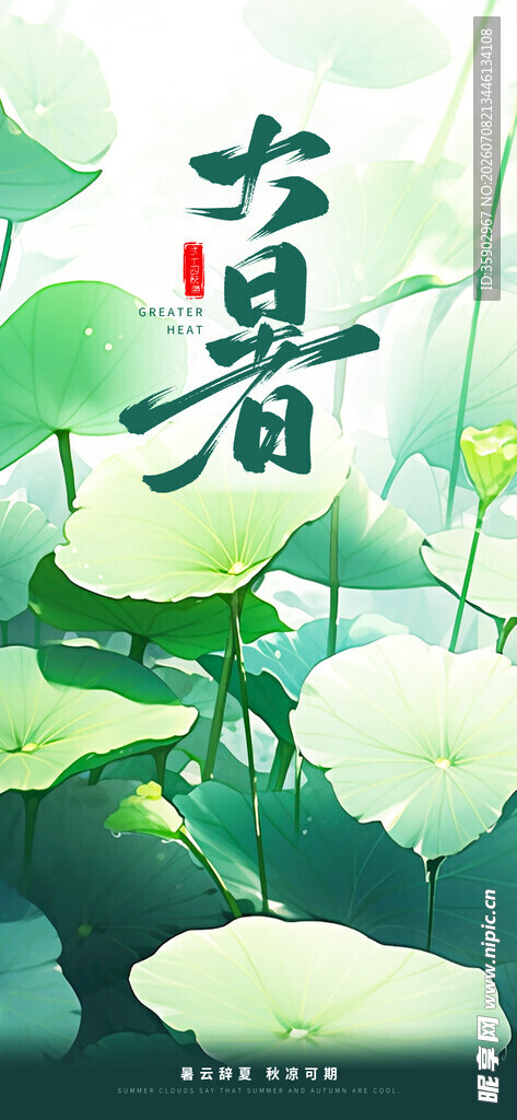 夏日荷塘之大暑时节