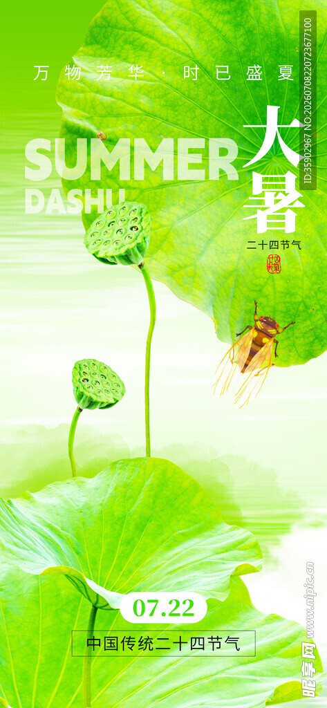 夏日绿意清新大赏