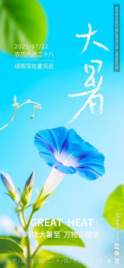 蓝花绽放于绿叶间