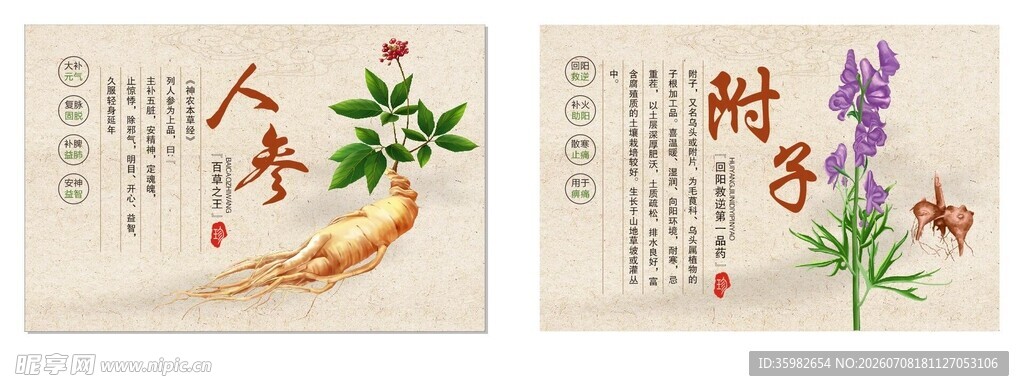 传统中药材图案装饰画