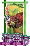 葡萄节