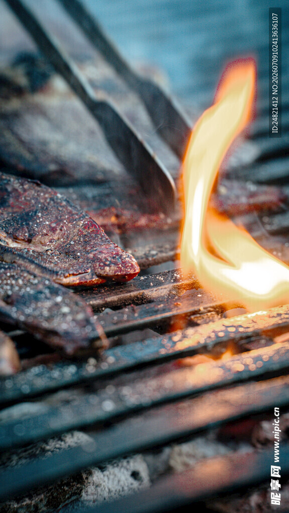 火焰上的美味烤肉