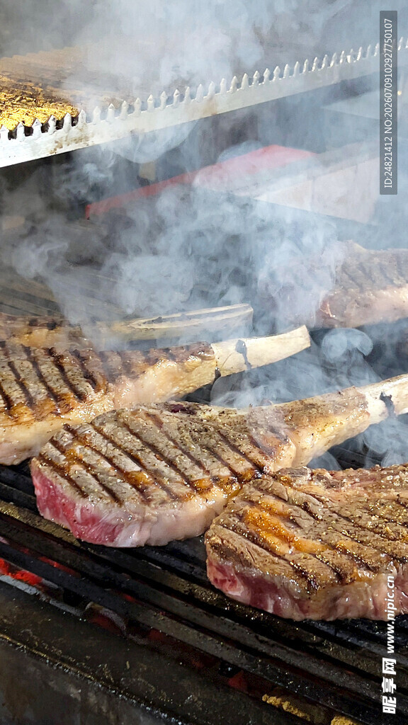 户外烧烤架上的美味烤肉