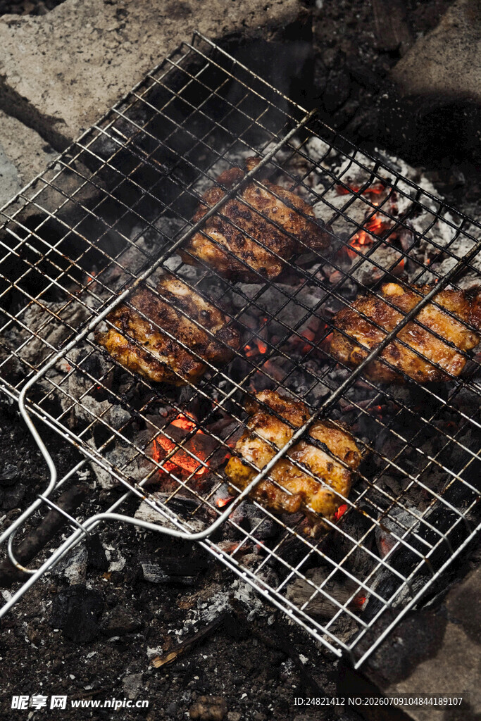 户外烤架上的美味烤肉