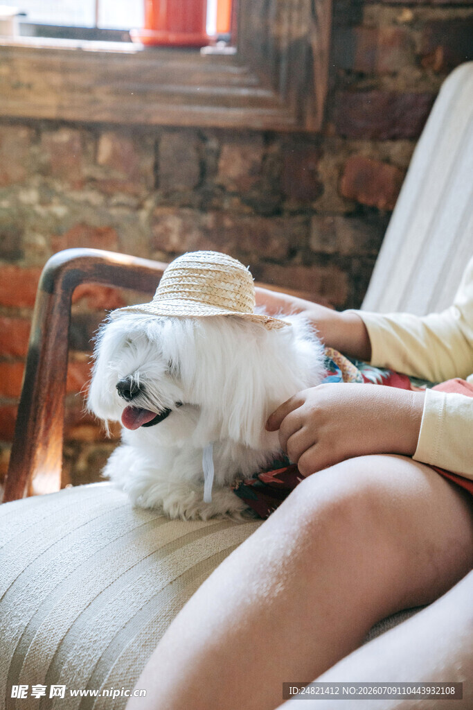 人与萌犬惬意温馨时光