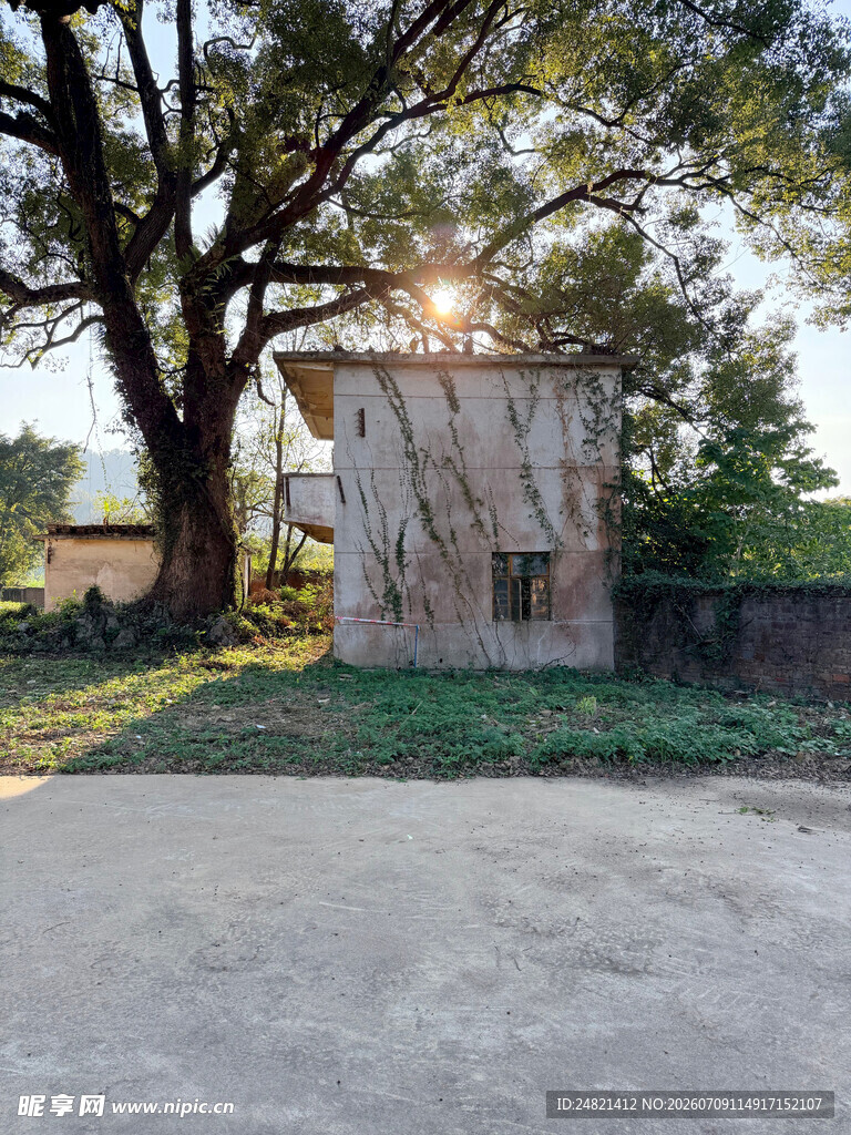 乡村树下小屋