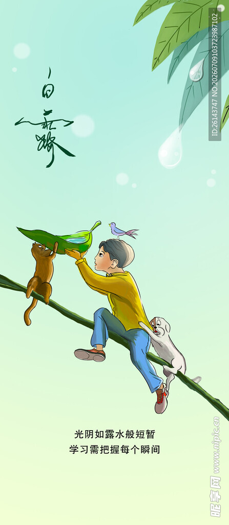 猴子爬竹竿嬉戏场景