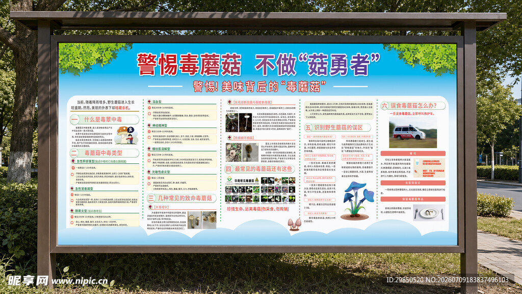毒蘑菇宣传栏