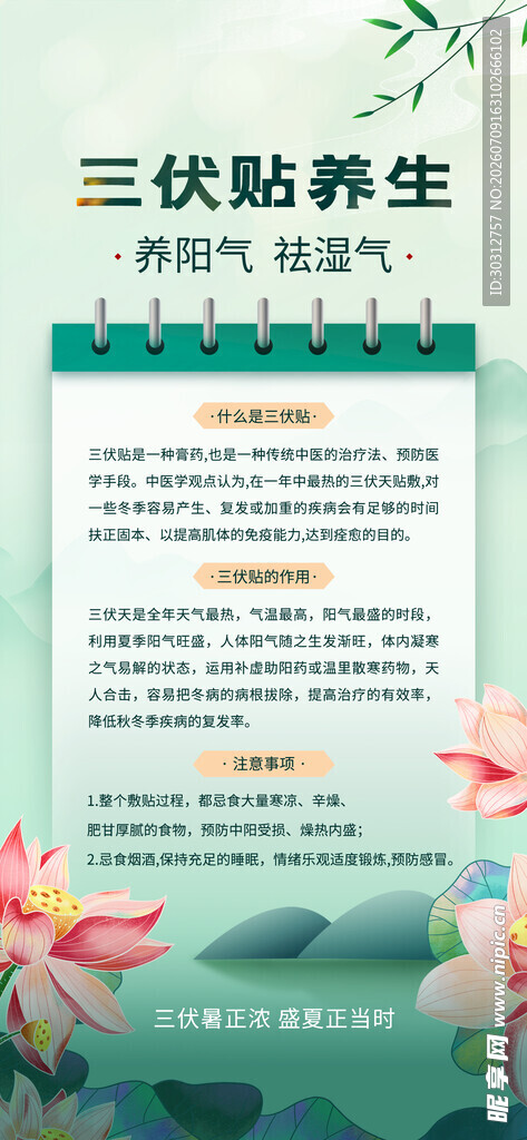 三伏贴养生指南