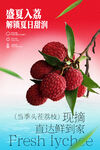 盛夏荔枝新鲜荔枝水果海报