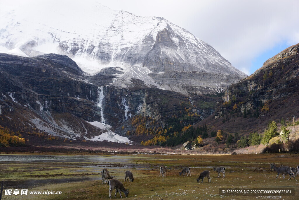 雪山下的美丽自然景观