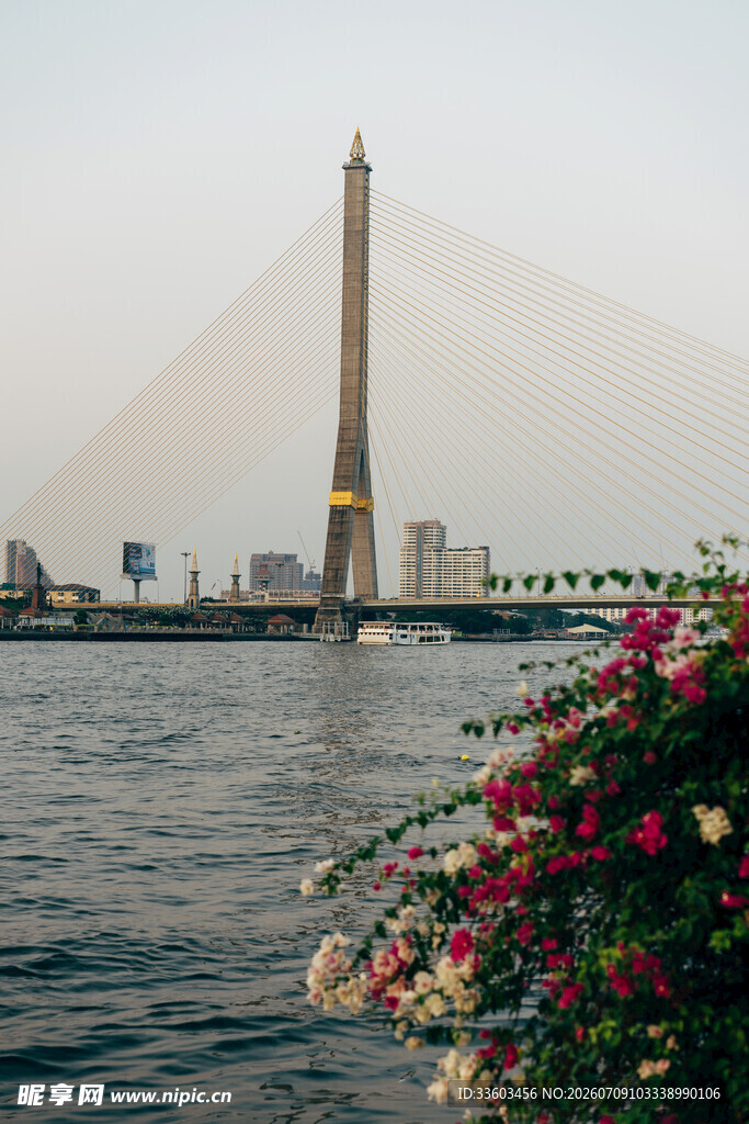 河畔桥梁与绚烂花卉景观