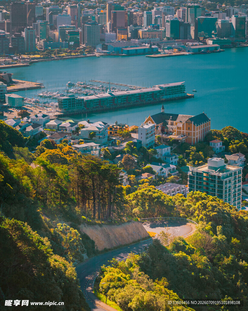 海港城市景观俯瞰
