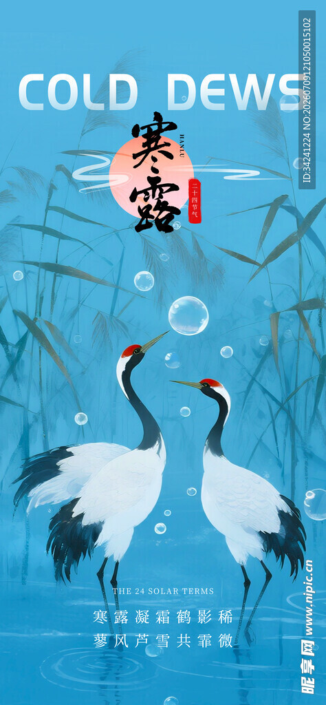 寒露时节双鹤插画图
