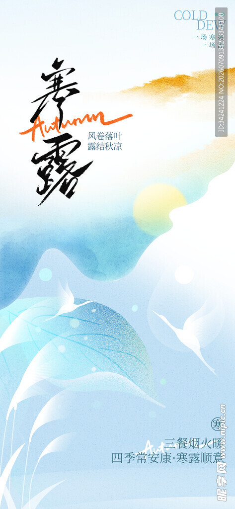 寒露节气插画海报