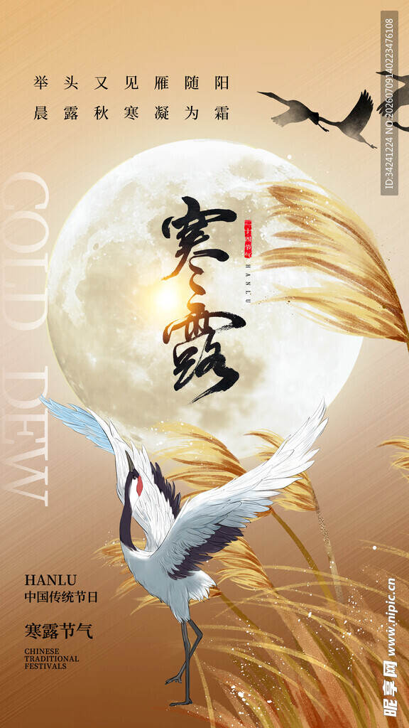 寒露节气唯美插画意境图