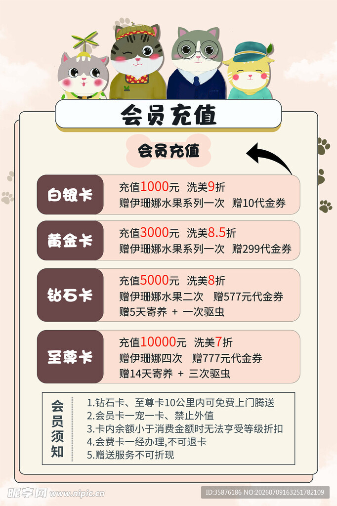 可爱猫咪会员页设计展示