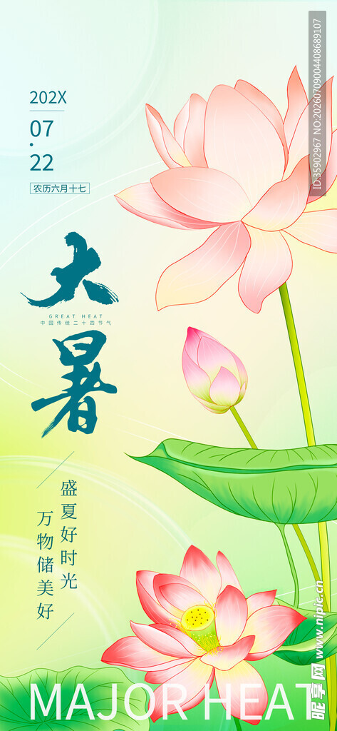 夏日玉簪花绽放