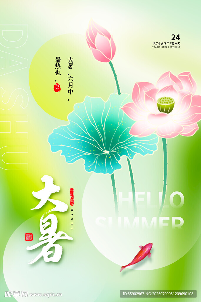 大暑时节荷花绽放图景