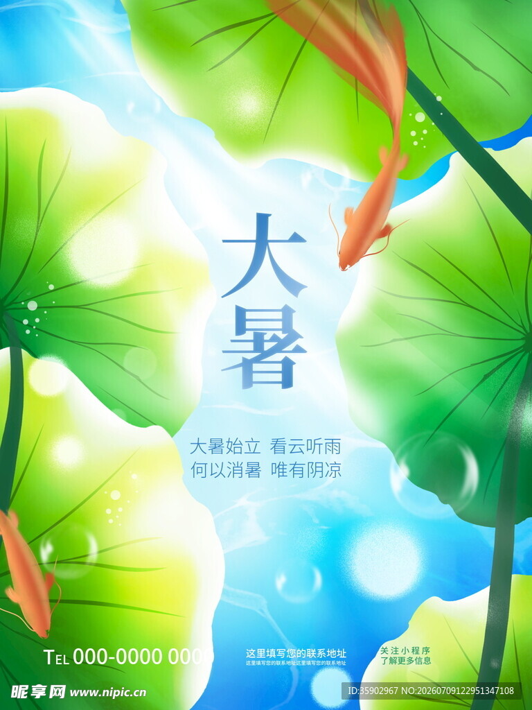 大暑时节荷叶荷花图景