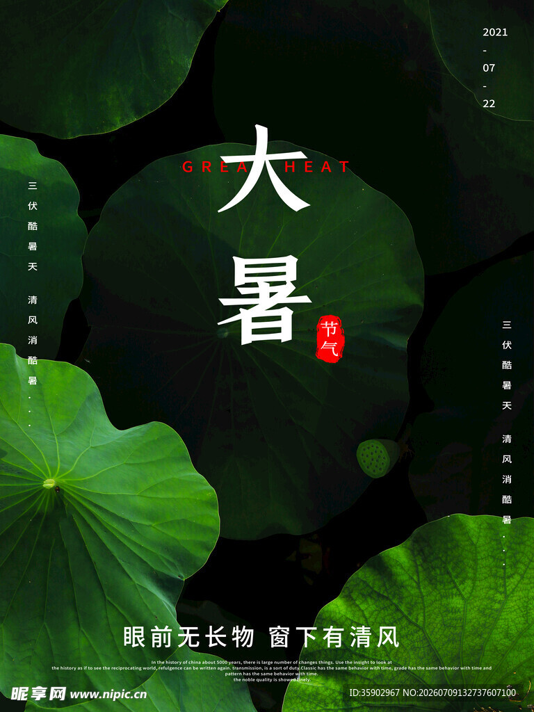 大暑时节荷叶间的诗意