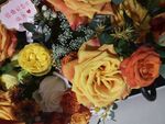 多彩花卉组合