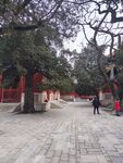 古寺庭院中的漫步场景