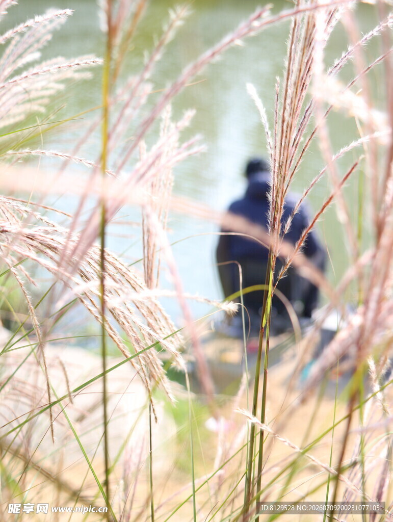 湖畔垂钓者