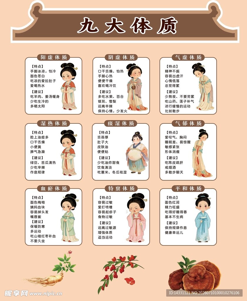 九大体质