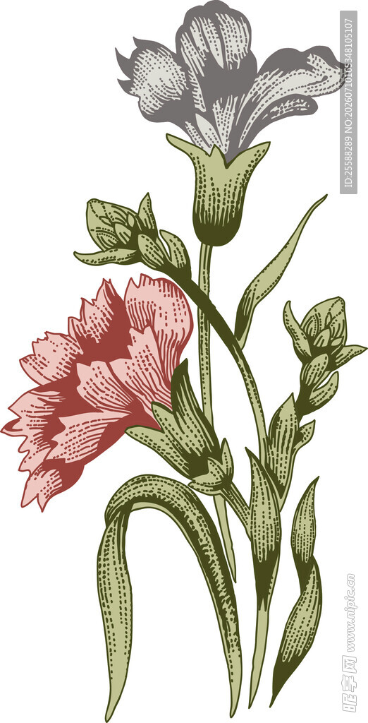 花卉