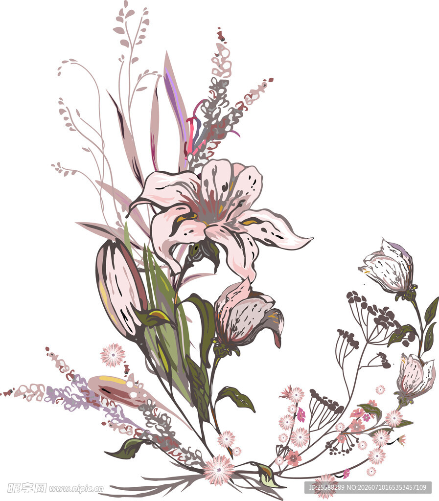 花卉