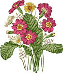 花卉