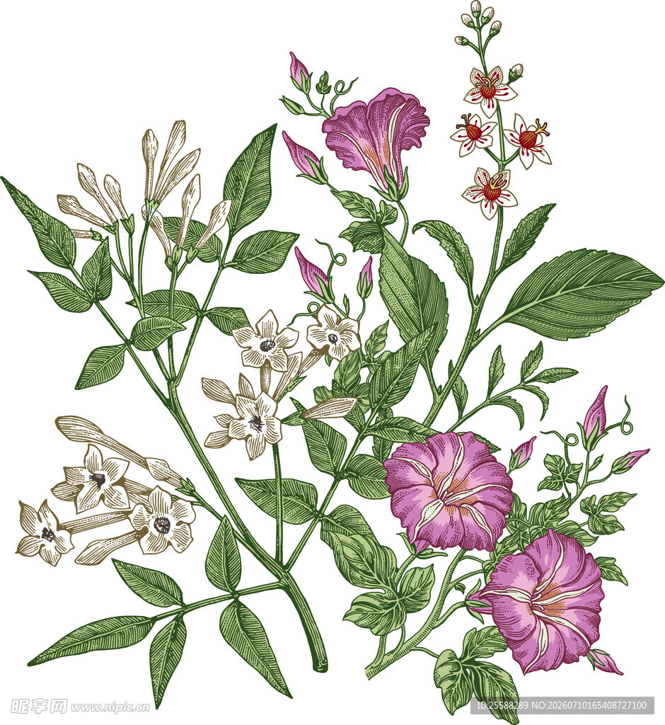 花卉