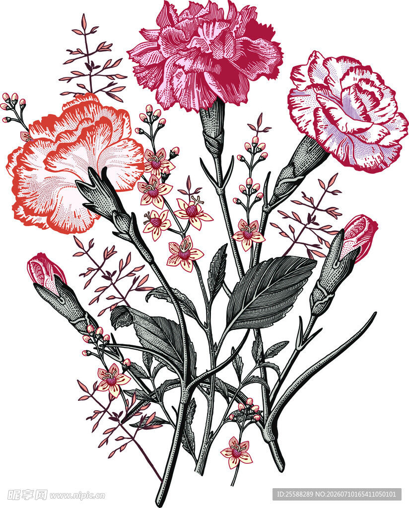 花卉