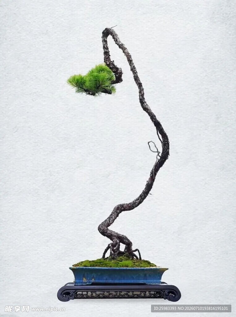 盆景
