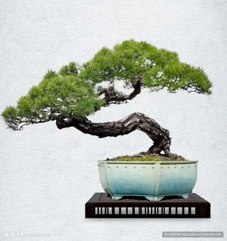 盆景